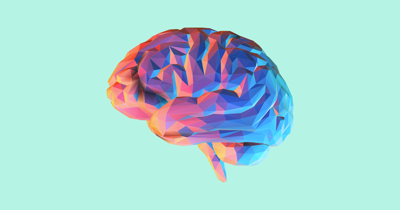 The Marketer's Guide to the Brain